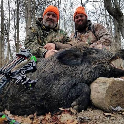 cheap guided hog hunts